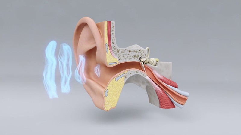 Explore the Science of Hearing Loss | Miracle-Ear Hearing Center, Video Screenshot, tags: mental - Youtube