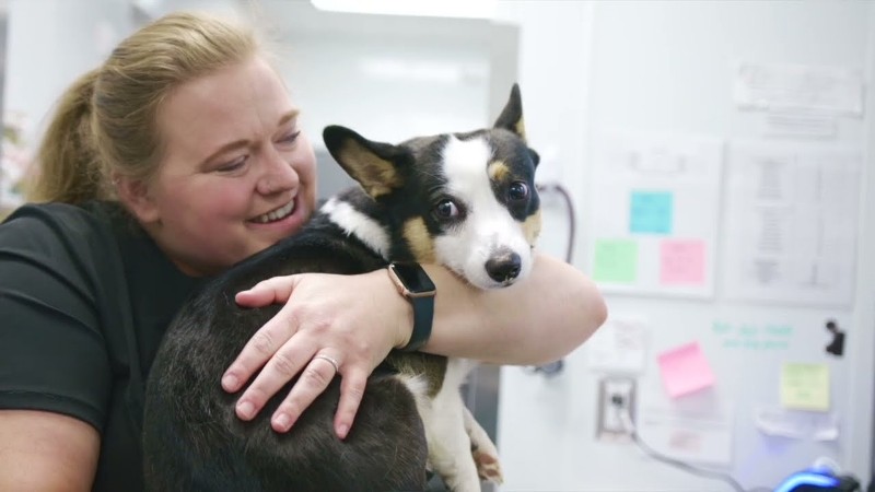 Greenville Humane Society unveils expansion details, Video Screenshot, tags: animal - Youtube