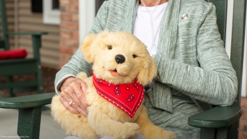 Stock Photo, tags: interactive robot pets - agelessinnovation.com